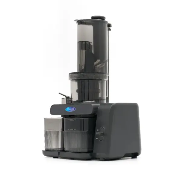 slowblender1 პროფესიონალური ნელი საწური 0.8L