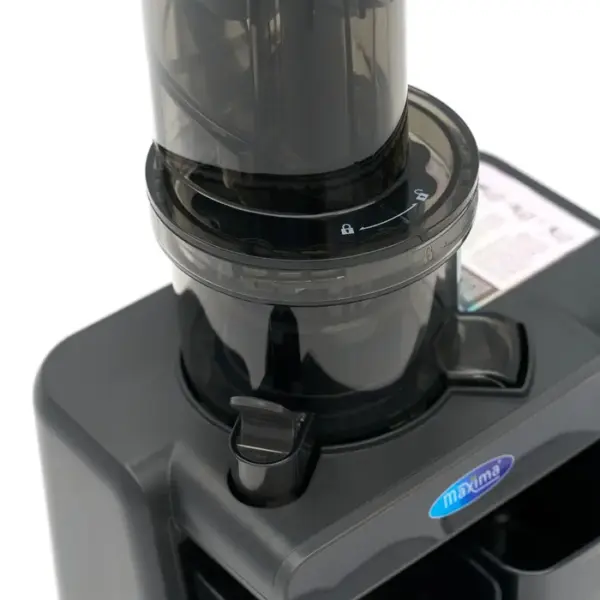 Professional Slow Juicer 0.8L